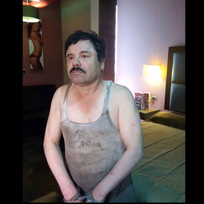 woosah/street cat - Single