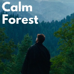 Calm Forest