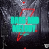 Lesgubu (feat. Entity MusiQ & Khusta Royal) - Single - LSG_LAMUSICA