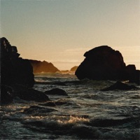 Coastal - Single - home grown