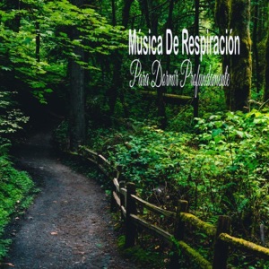 Música De Respiración Para Dormir Profundamente