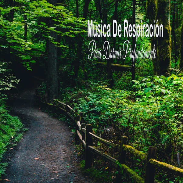 Música De Respiración Para Dormir Profundamente