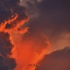 Vida - Single