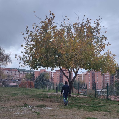 Cuarzo Blanco - Single