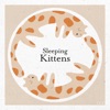 Sleeping Kittens - Single