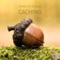 Caching - Christof R Davis lyrics