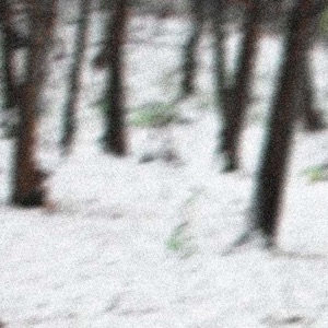 Pile (feat. Heylog) - Single