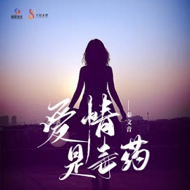 爱情是毒药 秦文音