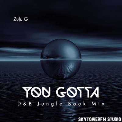 YOU GOTTA (D&B Jungle Book Mix) - Single