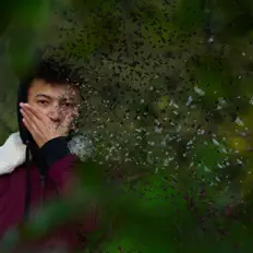 收听 Dellboy、观看音乐视频、阅读小传、查看巡演日期等 ！