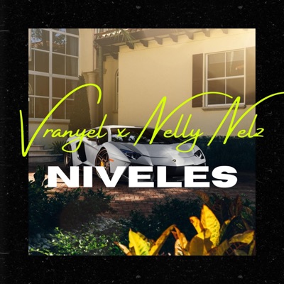 Niveles (feat. Nelly Nelz) - Single
