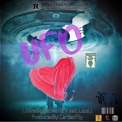UFO (feat. Liza Li) - Single