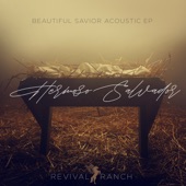 Beautiful Savior (feat. Wendy Vides, Ashleigh Coryell & Chris Van Duyn) [Acoustic] artwork