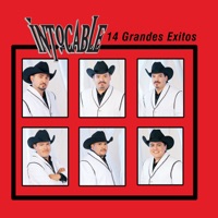 Intocable: 14 Grandes Éxitos - Intocable