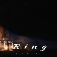 Ring (feat. Lah Poe) - Single - Dwellwe Hser