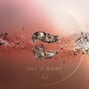 All I Want - Single