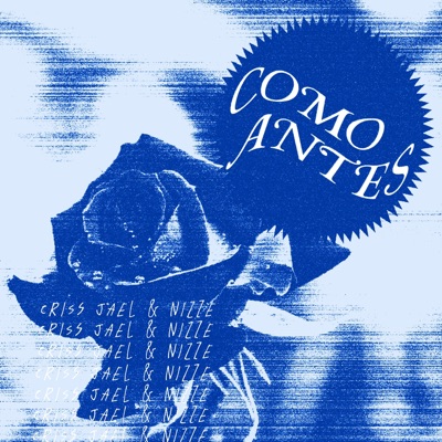 Como Antes (feat. NizzeDjbeats) - Single