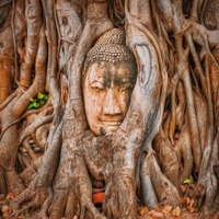 New Guard (feat. Haley Harkin) - Single - Blossomn