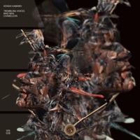 Trembling Voices - Single - Kenshi Kamaro
