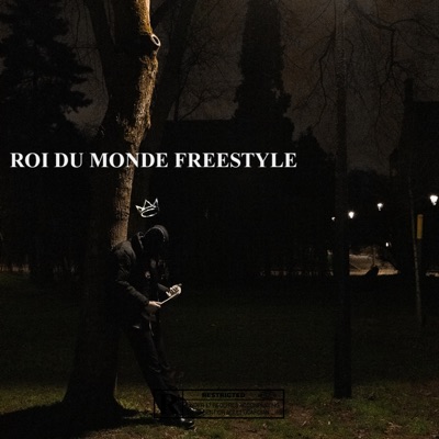 ROI DU MONDE FREESTYLE (feat. Oudini) - Single