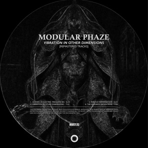 Vibration In Other Dimensions [Remastered Tracks] - EP