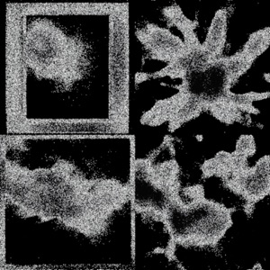 Universal Mind Chaos - EP