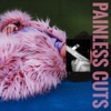 Painless Cuts - EP