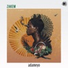 Adameyo cover art