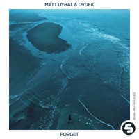 Forget - Single - Matt Dybal & DVDEK