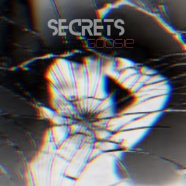 Secrets Goos!e