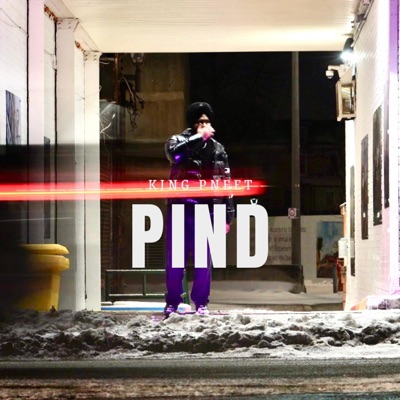 Pind - Single