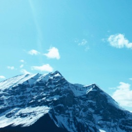 Harmonica Hills Skyler Roulette