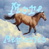 More Memories - Single - Snckpck