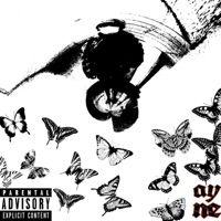 parvane (feat. Aam) - Single - ayine