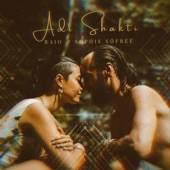 Adi Shakti (Jungle Kitchen Remix) artwork