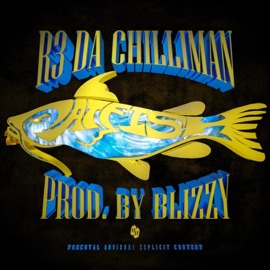 Catfish (feat. R3 DA Chilliman) Blizzy