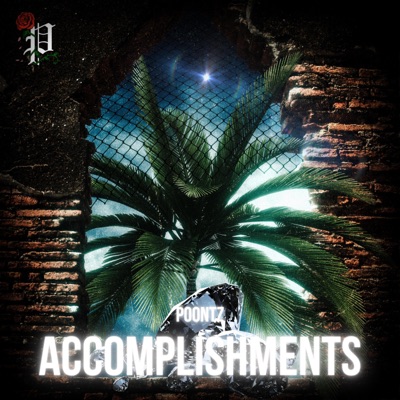 Accomplishments - Single