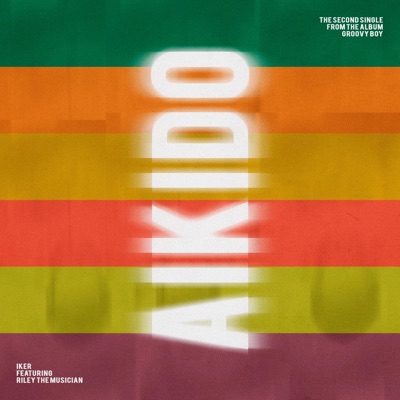 Aikido (feat. RILEY the MUSICIAN) - Single