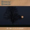 Rest and Relaxation - Breezy Breeze lyrics