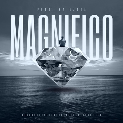 magnifico (feat. sammer, t-ago, calderking & pallmera) [Remix] - Single