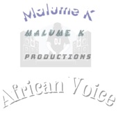 African Voice artwork