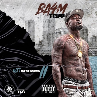 Not for the Industry II