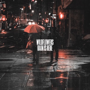 Rain Is Here - Single