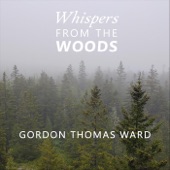 Gordon Thomas Ward - Hymn to Love (feat. Jud Caswell)