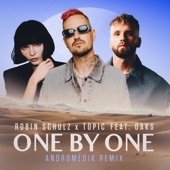 One By One (feat. Oaks) [Andromedik Remix] artwork