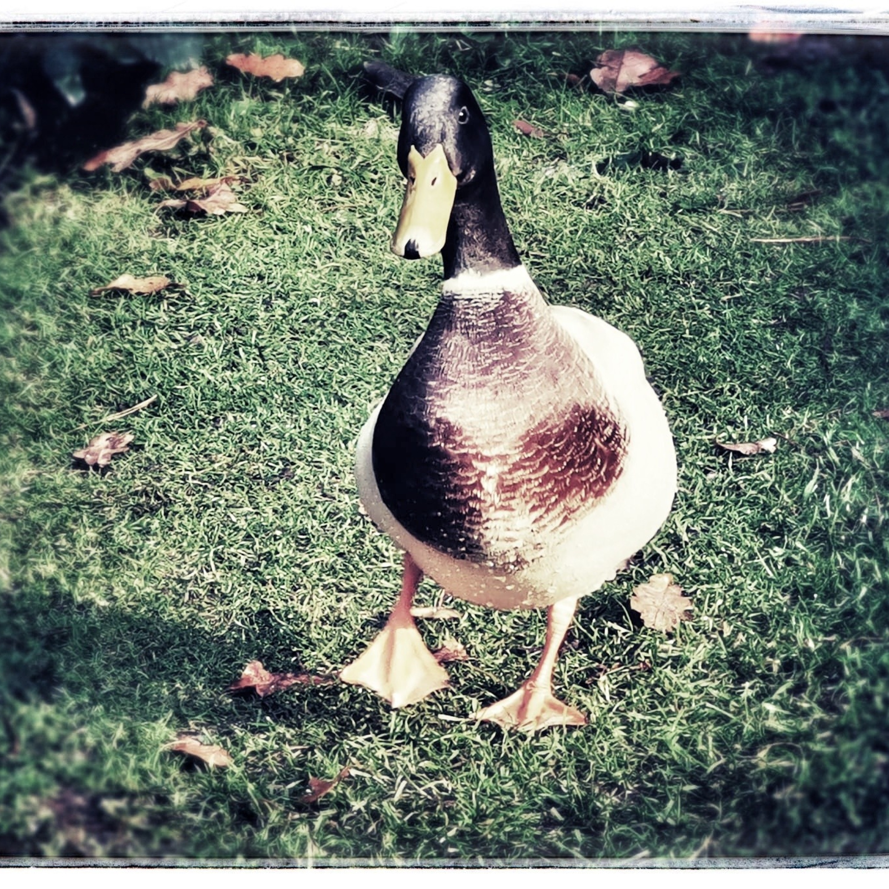 The Unfinished Song - Single