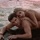 Petros Iakovidis & Josephine-Geia Sou Petros Iakovidis & Josephine-Geia Sou