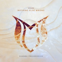 Nothing Else Wrong - Single - Kojun