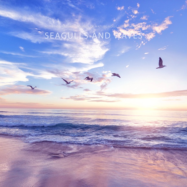 Seagulls and Waves - EP