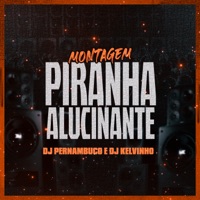 Montagem Piranha Alucinante - Single - DJ Pernambuco & Dj Kelvinho